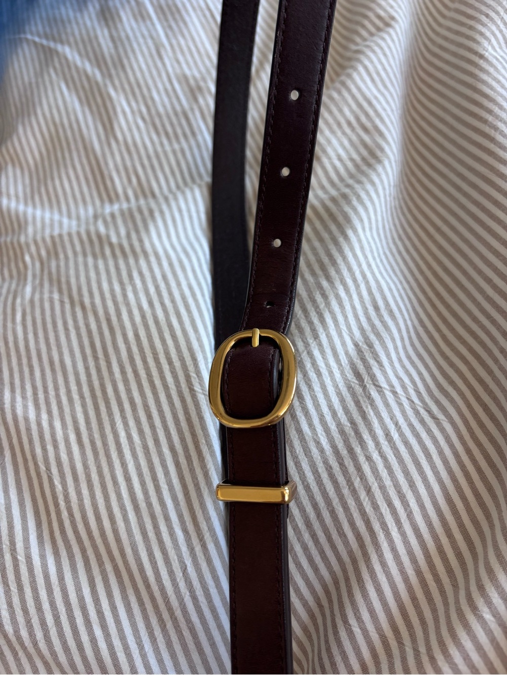 ARITZIA | Dark brown leather Belt with Gold Buckle